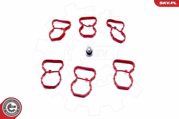 Blīvju komplekts 49SKV520