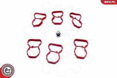 Blīvju komplekts 49SKV520