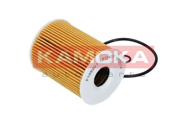 Eļļas filtrs F109201