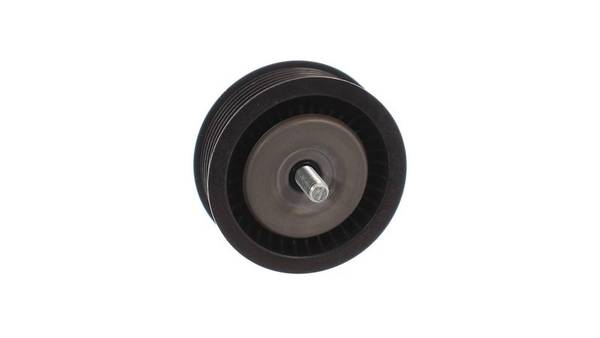 Parazīt-/Vadrullītis, Ķīļrievu siksna