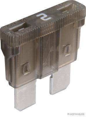 84552015400222020251205-1-bdo8dp