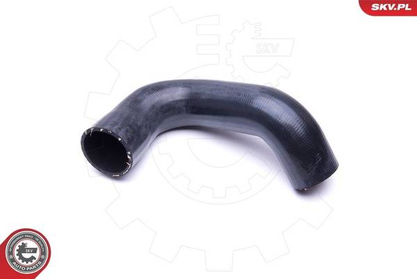 140847059716639420251210-1-1dyrcaf