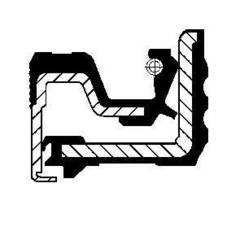 Blīvslēgs 12019512B