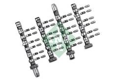 Sadales vārpstas komplekts 428003830