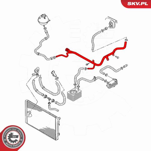 140847059717151920260115-1-1n94boz