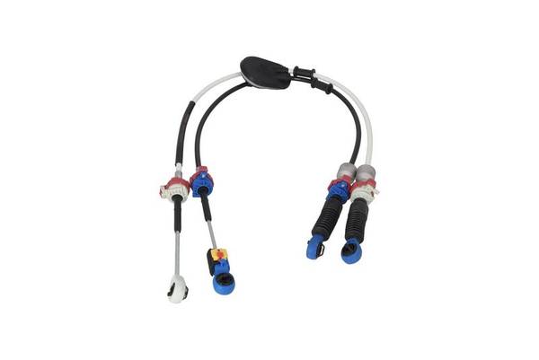 84552016536123620260128-1-zrex1z