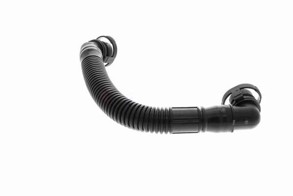 140847011644072120260310-1-1k11i8u