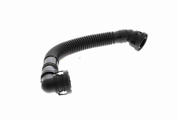 140847011644072320260310-1-1sd3gnq