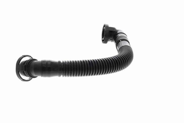 140847011644071920260310-1-1iqqzyd