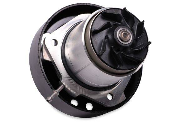 84552016459389620260319-1-st2t4l