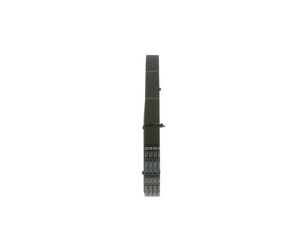 Siksna Bosch 1987947978