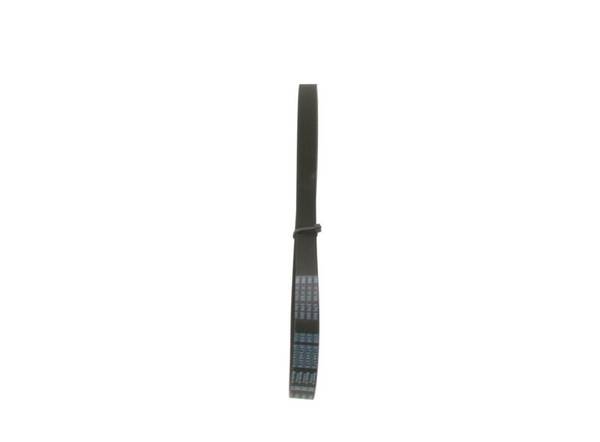 Siksna Bosch 1987947939