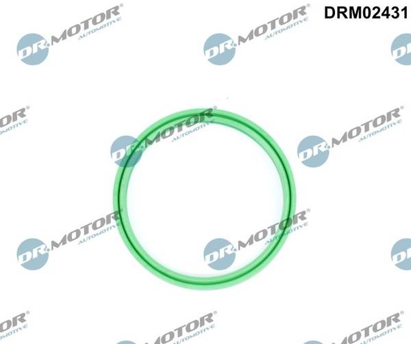 Blīvgredzens DRM02431