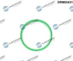Blīvgredzens DRM02431
