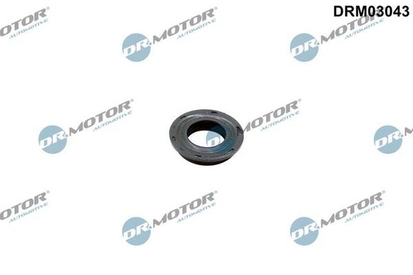 Sprauslas blīve DRM03043