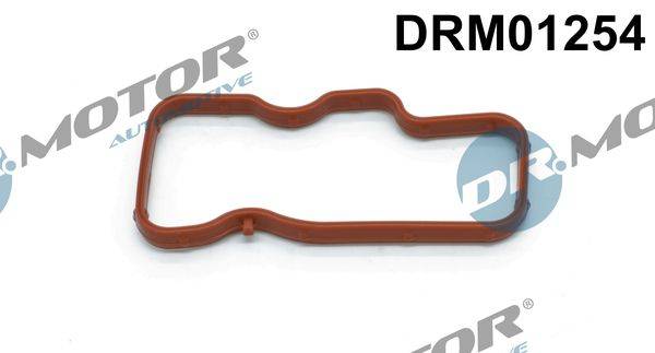 Blīve DRM01254