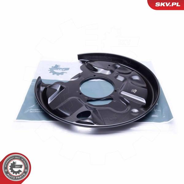 Dubļu sargs, Bremžu disks