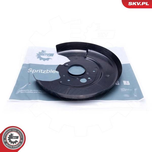 Dubļu sargs, Bremžu disks