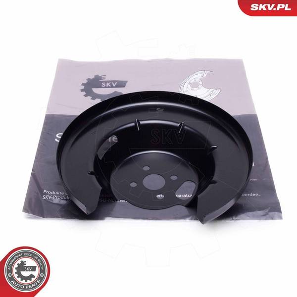 Dubļu sargs, Bremžu disks