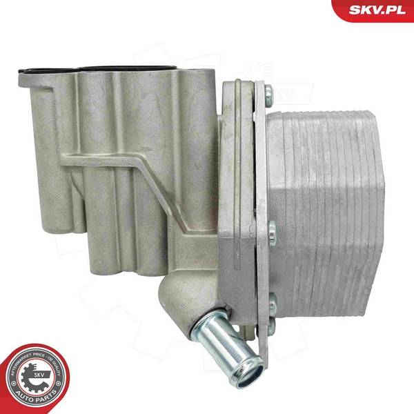 Eļļas radiators, Motoreļļa