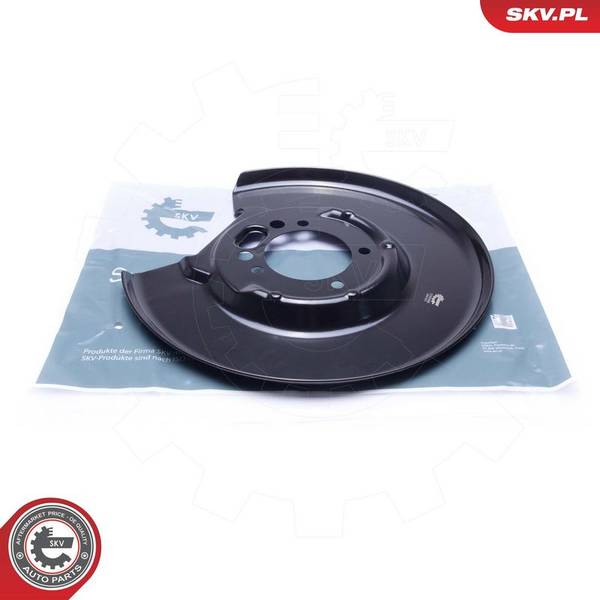 Dubļu sargs, Bremžu disks