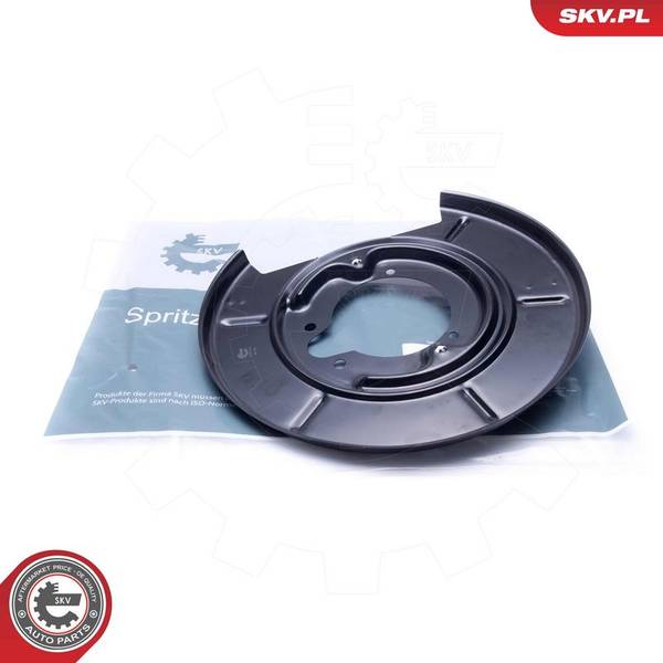 Dubļu sargs, Bremžu disks