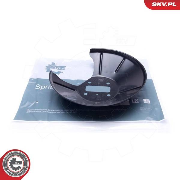 Dubļu sargs, Bremžu disks