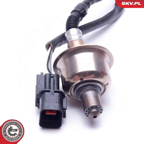 84552064370741120260905-1-1vt3cv8