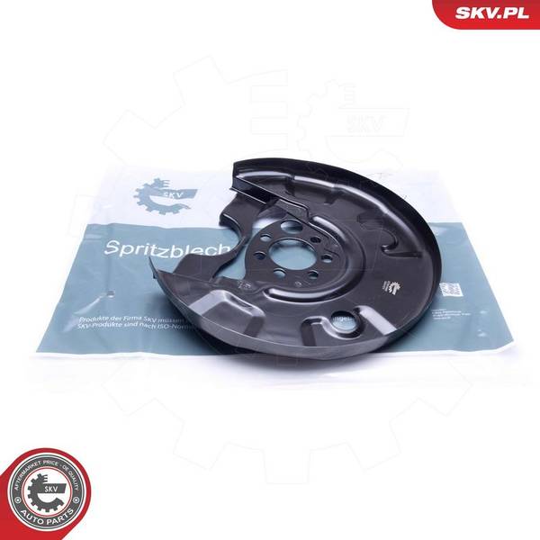 Dubļu sargs, Bremžu disks