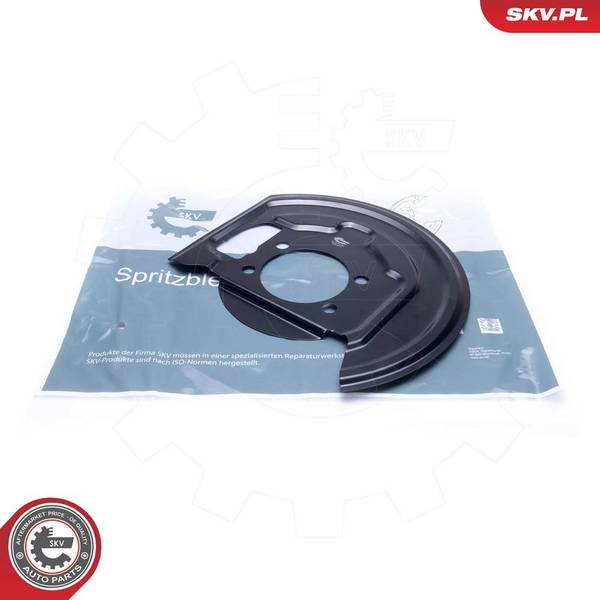 Dubļu sargs, Bremžu disks