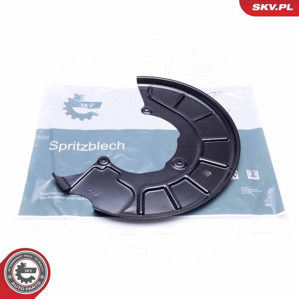 Dubļu sargs, Bremžu disks