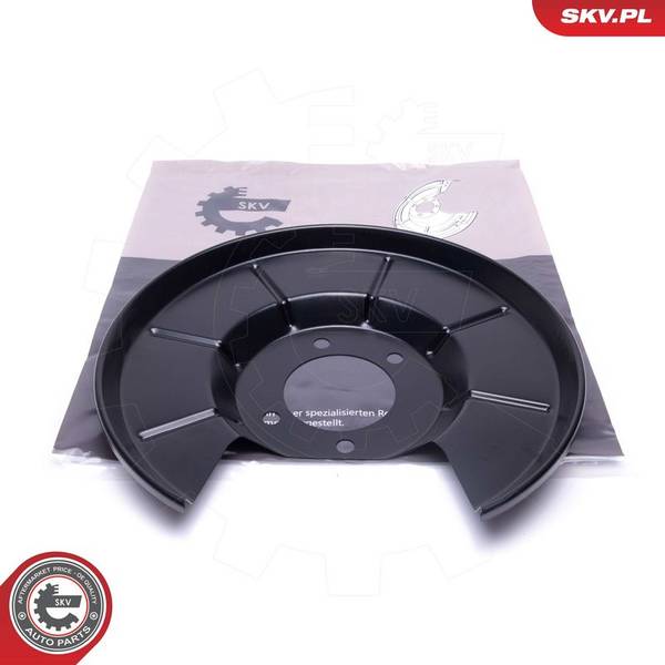 Dubļu sargs, Bremžu disks