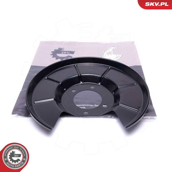 Dubļu sargs, Bremžu disks