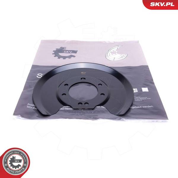 Dubļu sargs, Bremžu disks