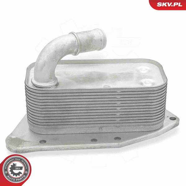 Eļļas radiators, Motoreļļa