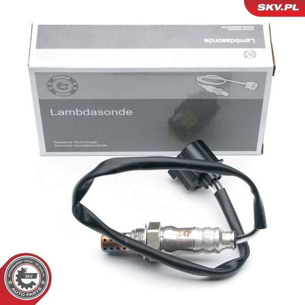Lambda zonde