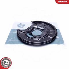 Dubļu sargs, Bremžu disks