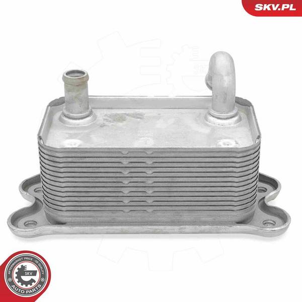 Eļļas radiators, Motoreļļa