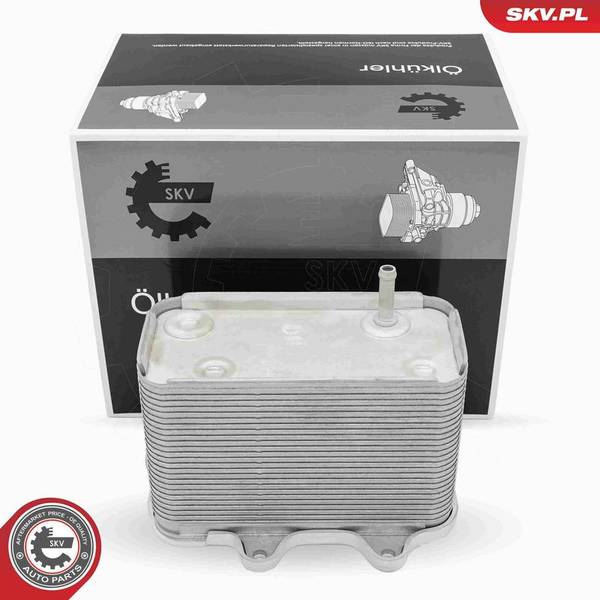 Eļļas radiators, Motoreļļa