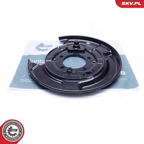 Dubļu sargs, Bremžu disks