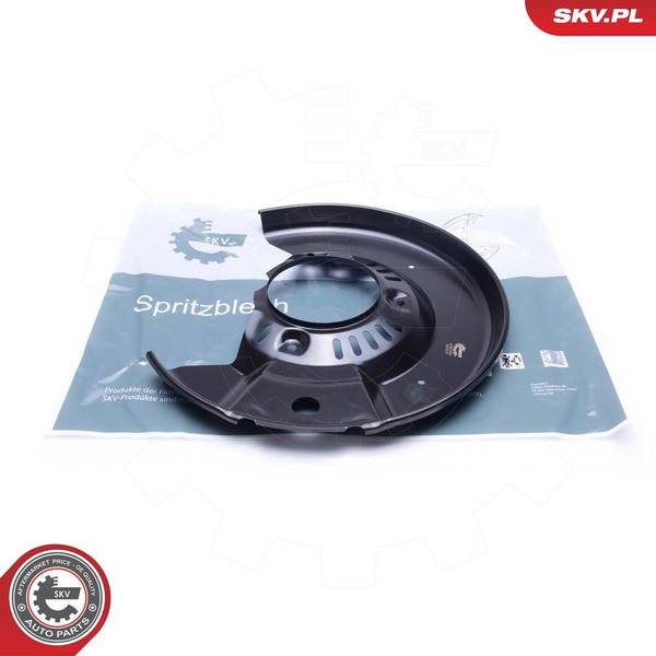 Dubļu sargs, Bremžu disks