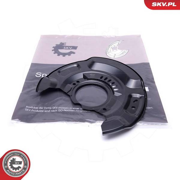 Dubļu sargs, Bremžu disks