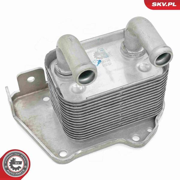 140847059716427020260907-1-1bua56v