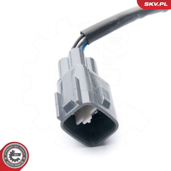 84552064370679920260908-1-1osyczd