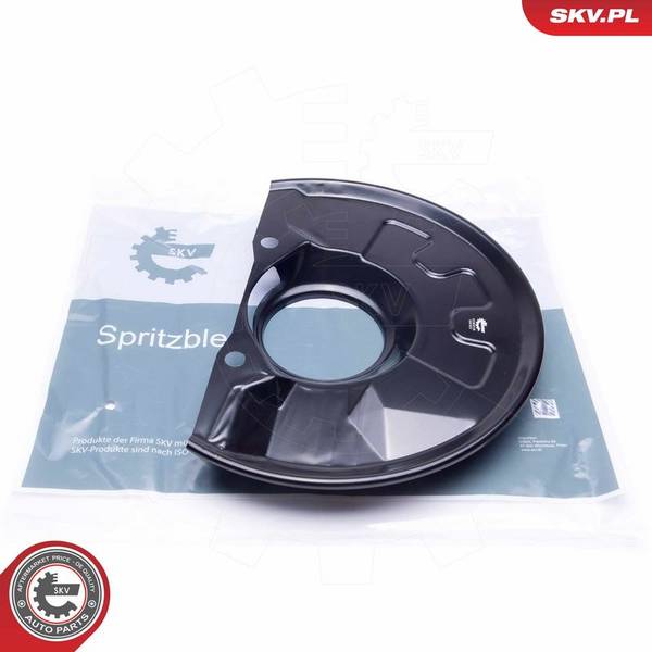 Dubļu sargs, Bremžu disks