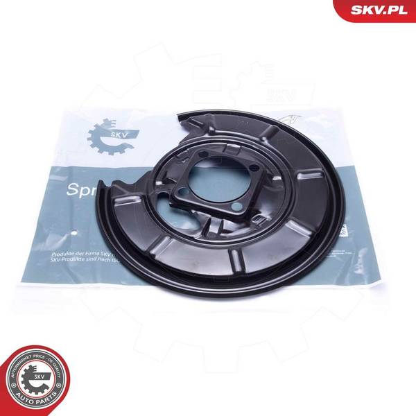 Dubļu sargs, Bremžu disks