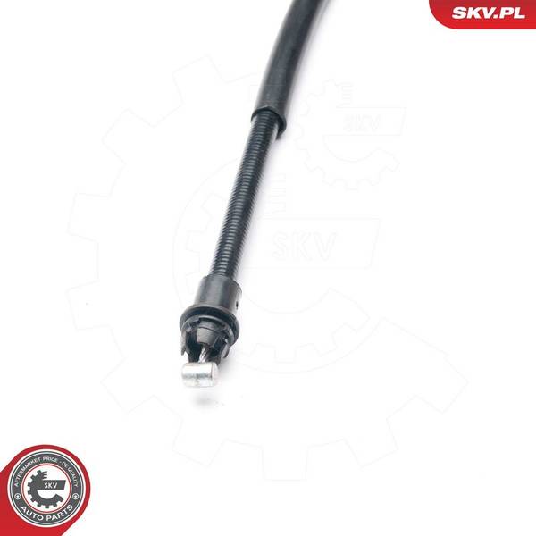 140847059715585020260908-1-tx7o7w