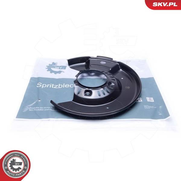 Dubļu sargs, Bremžu disks