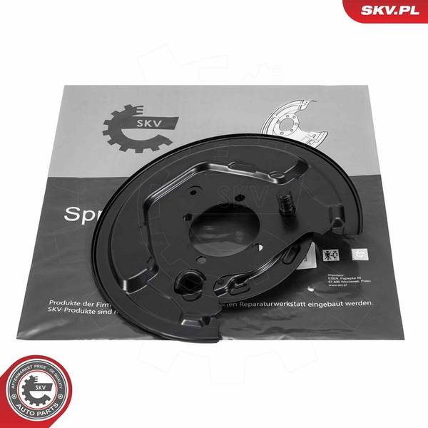 Dubļu sargs, Bremžu disks