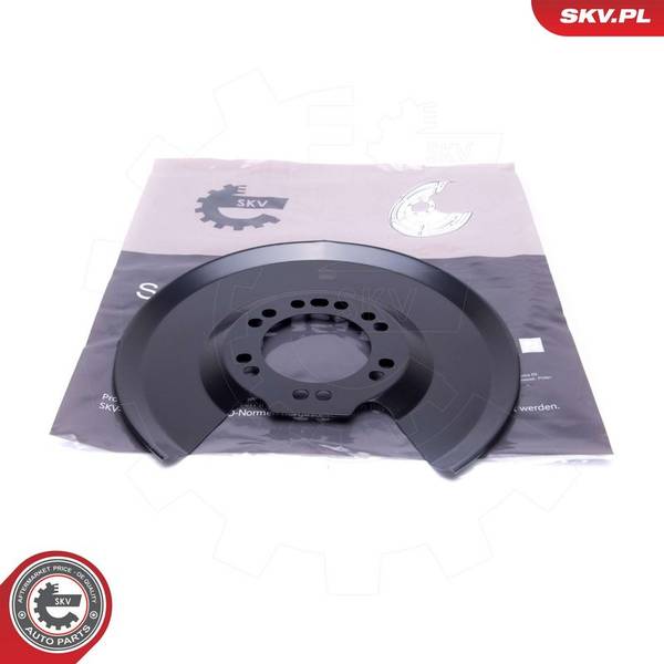 Dubļu sargs, Bremžu disks